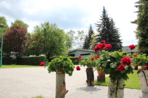 Strona główna img 3116